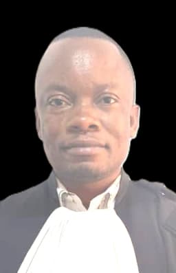 Logo de NGOY ABELI